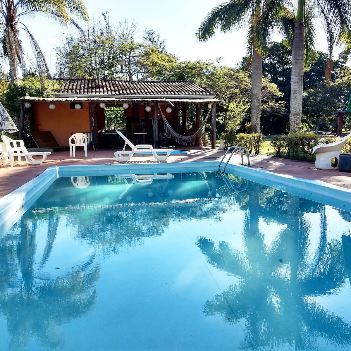 A refreshing swimming pool is surrounded by lush greenery and palm trees, reflecting the clear sky. A inviting outdoor area features a covered patio with hammocks and seating, creating a relaxing environment. White lounge chairs are arranged nearby, complementing the serene atmosphere.