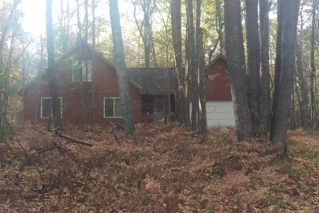 Fall season front view