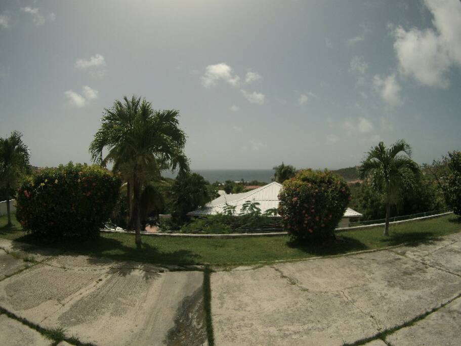View from the porch