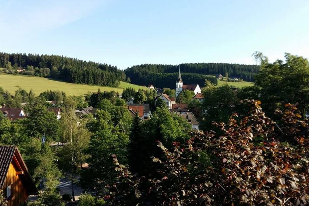 Blick von der Terrasse