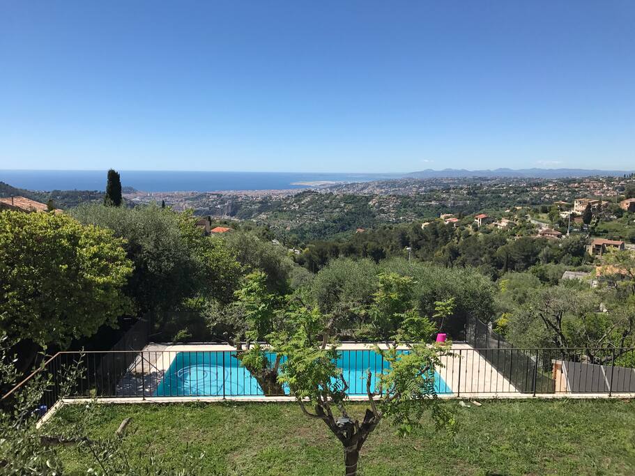 View from the Terrace