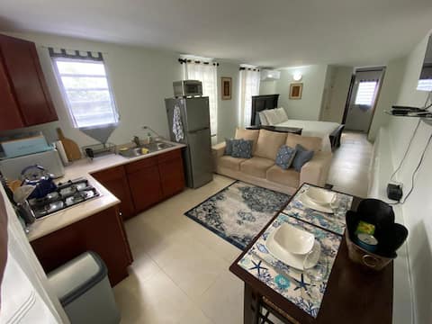 Apartment at Villa Flower of Carmel