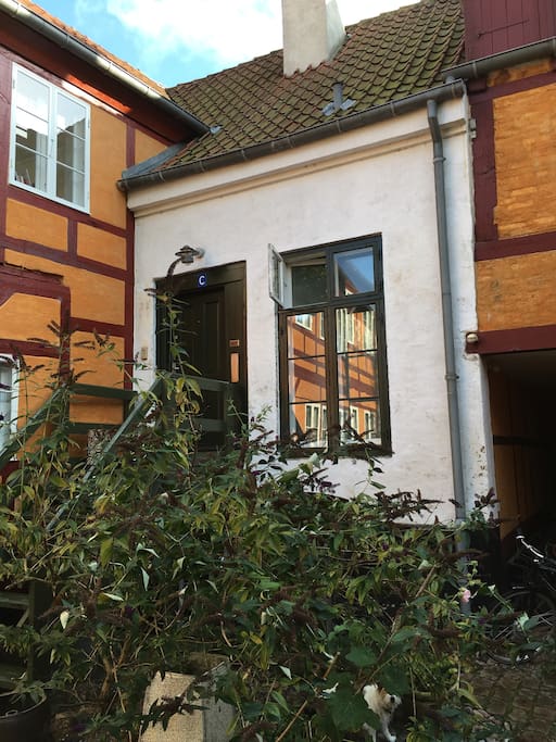 Entrance to the apartment
