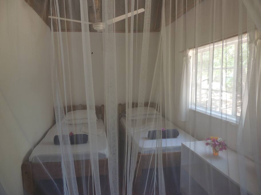 Mosquito Nets