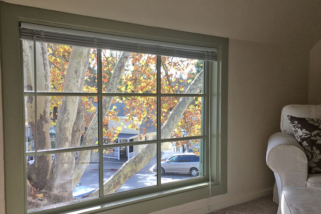 Enjoy looking down on the Broad Street Café patio while you relax and chat with friends or read a book.
