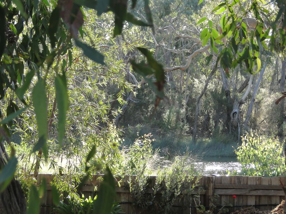 river view from lounge room