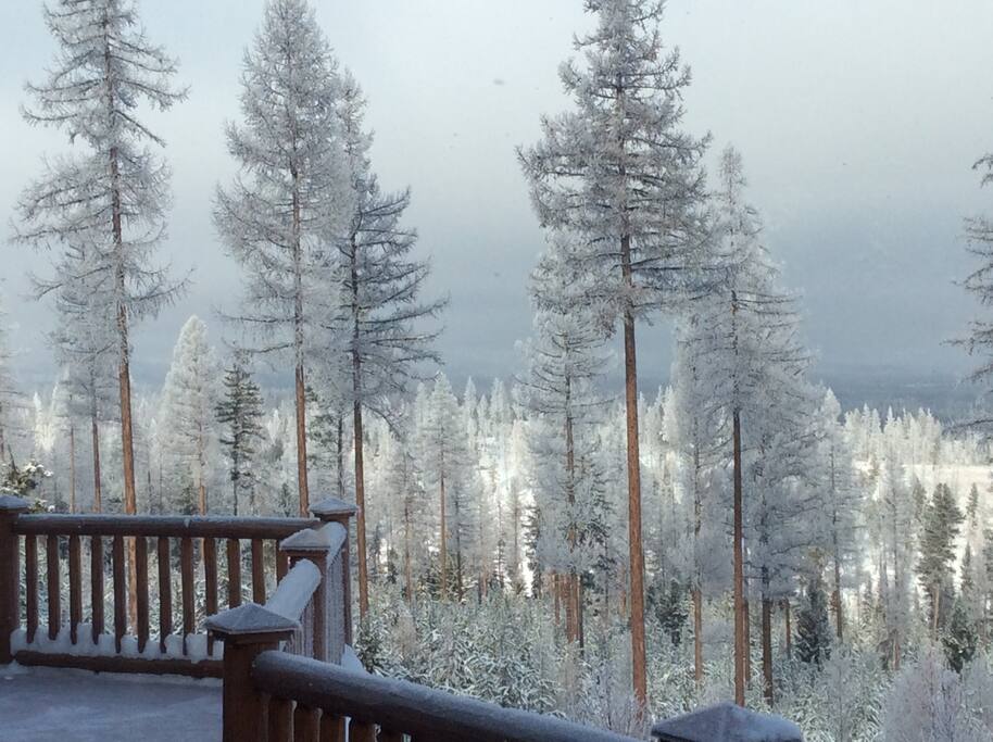 Winter wonderland