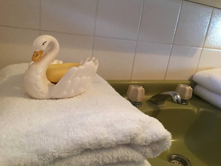 Retro Vista's resident swan