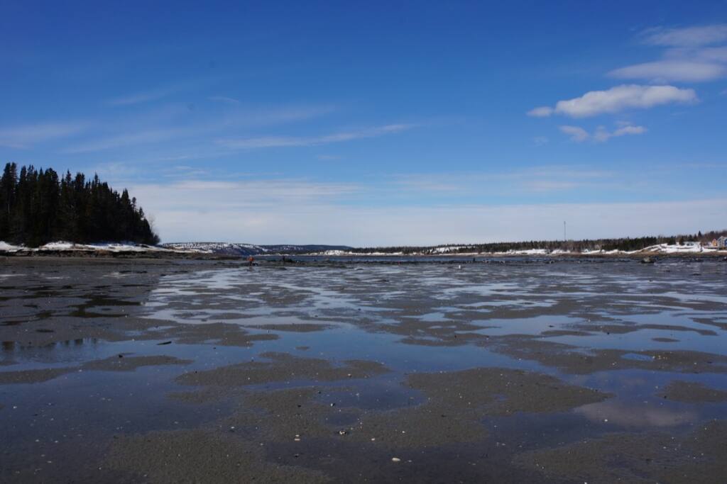Marée basse au printemps