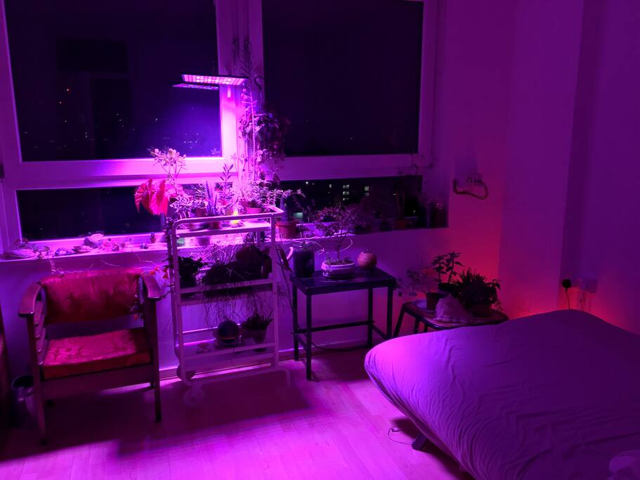 Living room at night with open sofa bed