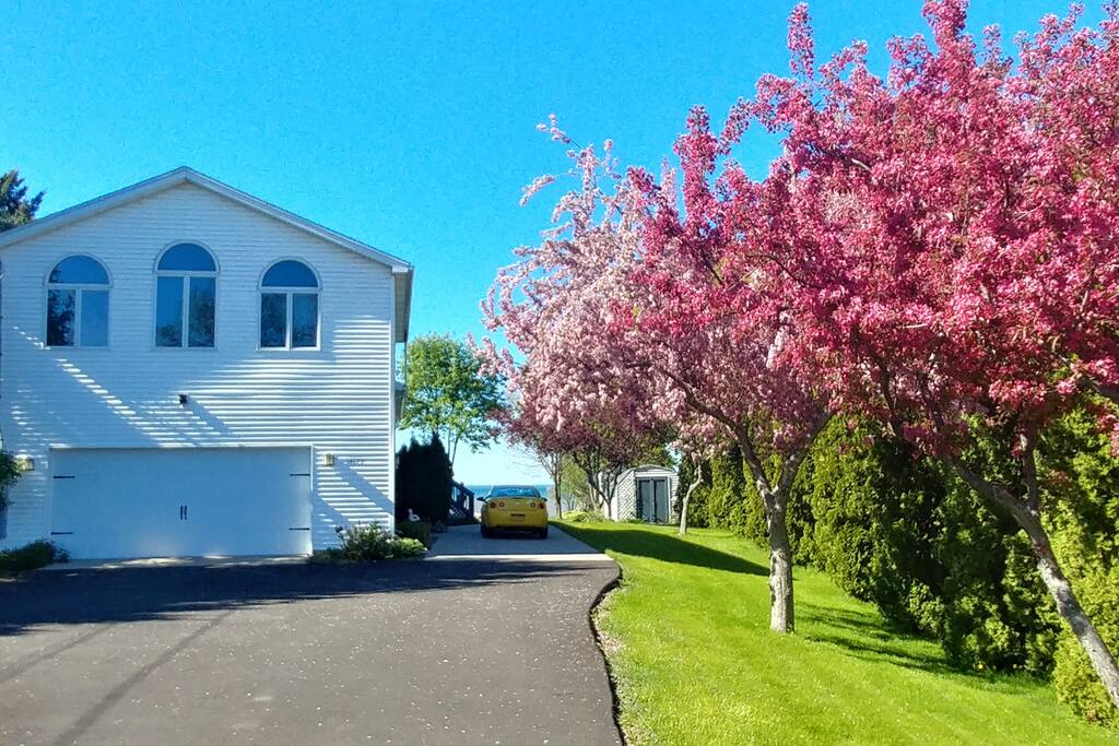 Lynne's Landing from Lakeshore Rd. in the Spring