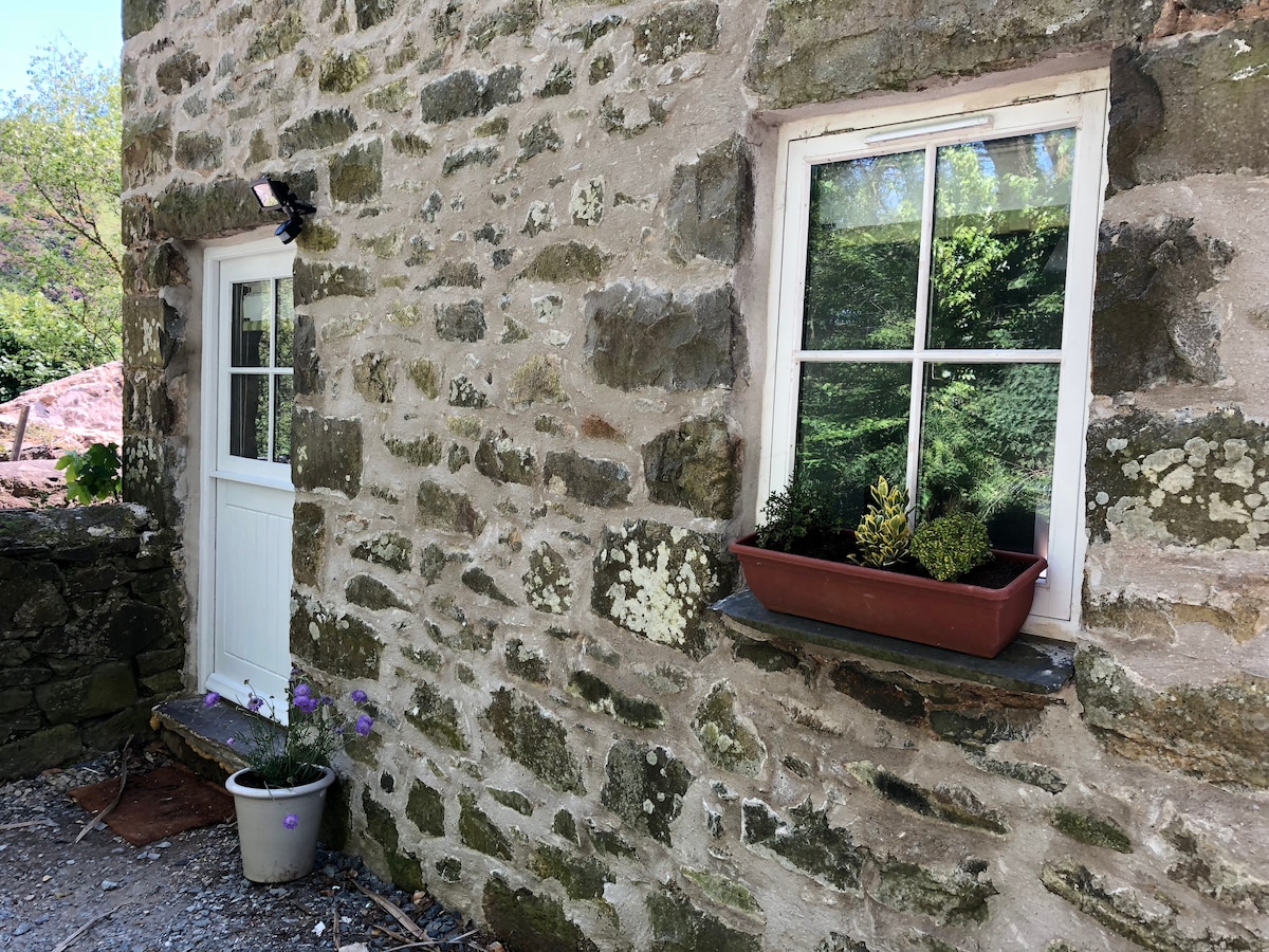 Pet friendly cottages llyn 2024 peninsula