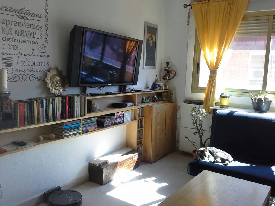 Salon