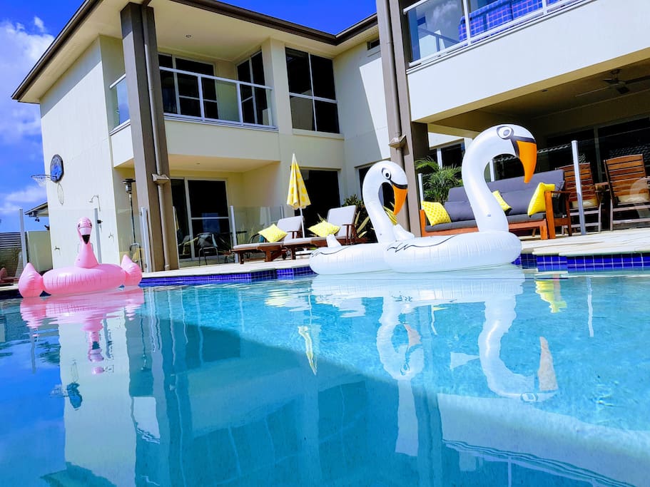 Come and swim with our Flamingos.