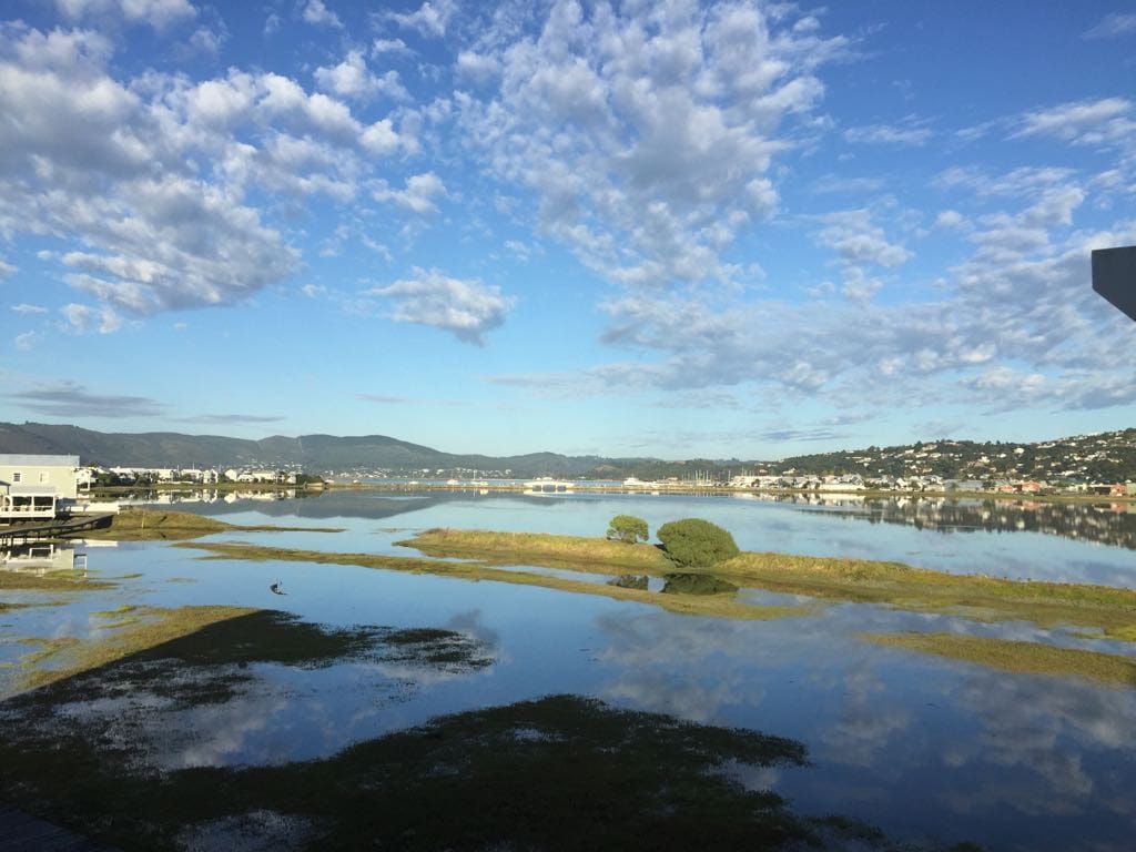 A serene landscape features calm waters reflecting a clear blue sky dotted with fluffy clouds. The view includes distant hills and a small tree emerging from the marshy grass, with water gently surrounding it, creating a peaceful ambiance.