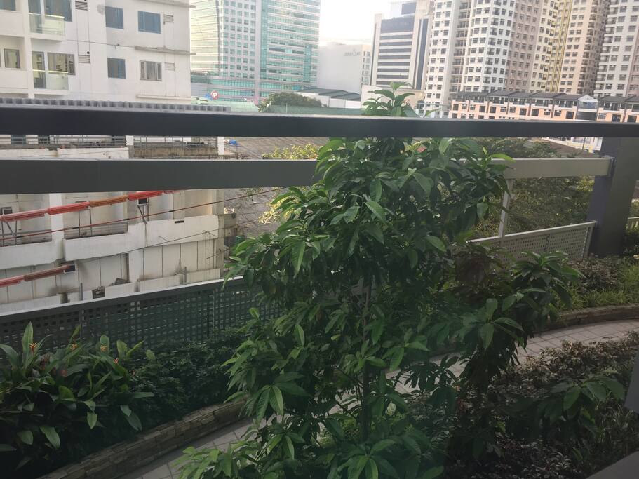 Garden pathway at Tower A