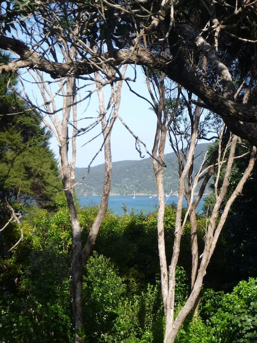 View from the front deck