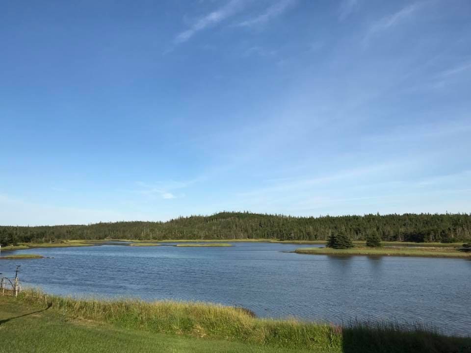 A serene landscape is showcased, featuring a calm water body surrounded by lush green grass and trees. The clear blue sky reflects off the water, creating a tranquil atmosphere. Gentle hills in the background contribute to the natural beauty of this coastal setting.
