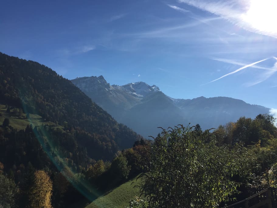 Summer View