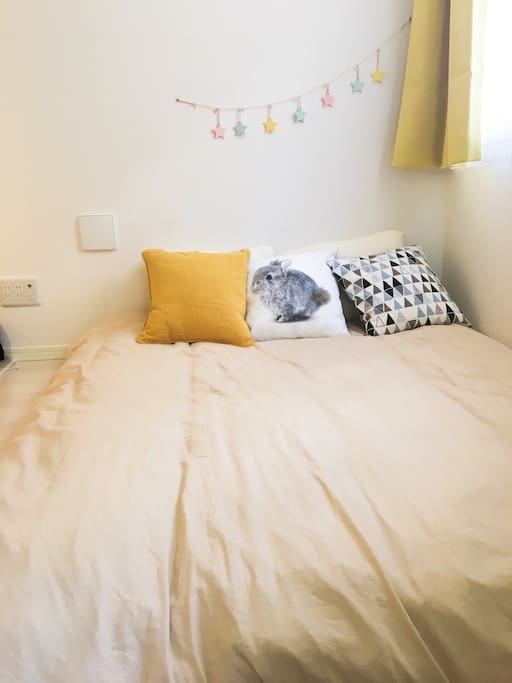sofa bed