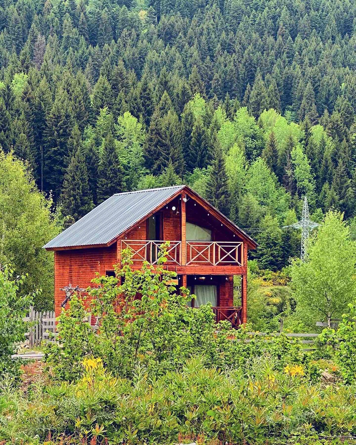 A charming two-story wooden cottage is nestled among lush greenery, with a sloped roof and outdoor balcony. The surrounding forest features tall trees, enhancing the serene setting. The cottage is approached by a pathway lined with bushes and diverse vegetation, inviting a peaceful retreat.