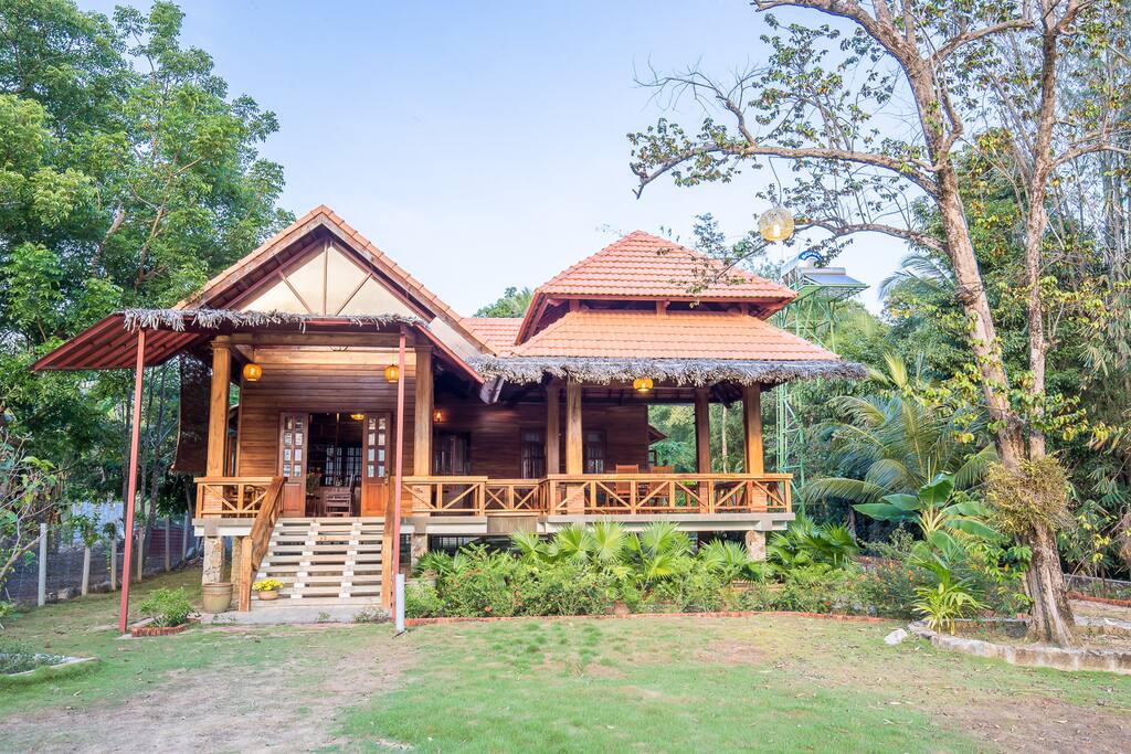Front View