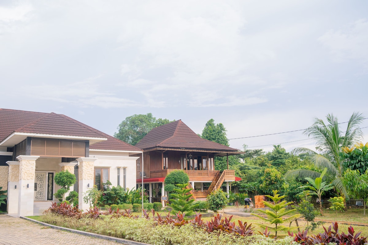 A traditional Palembang house is showcased alongside a modern structure. Lush greenery and colorful plants frame the pathways. The spacious outdoor area is highlighted by varied landscaping and palm trees under a serene sky.