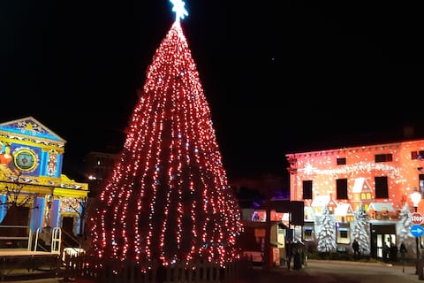 Margherite bright three-room apartment Giaveno center, wifi