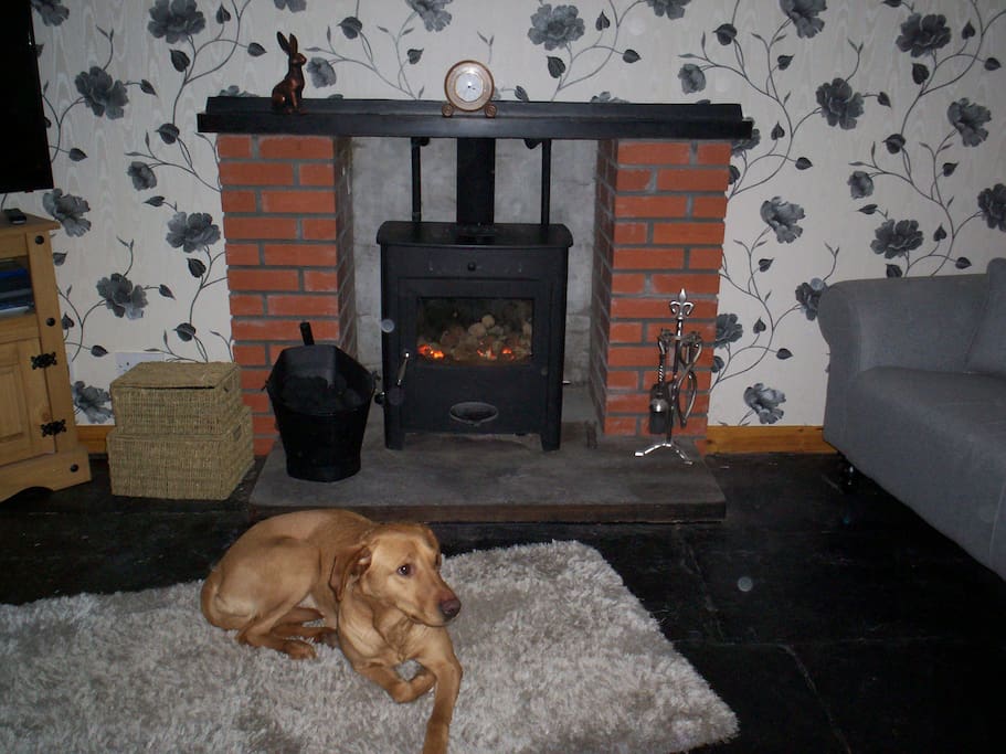 multifuel burner in livingroom