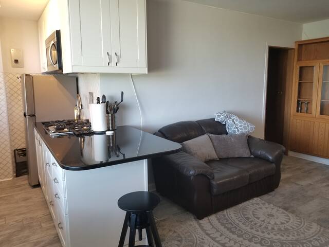 Studio Condo w/ DC monument views & close to metro