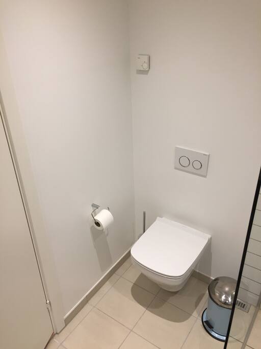 The toilet