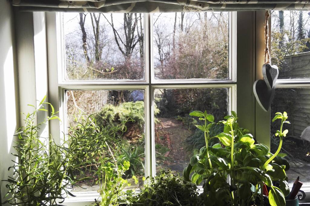 Kitchen view to the garden