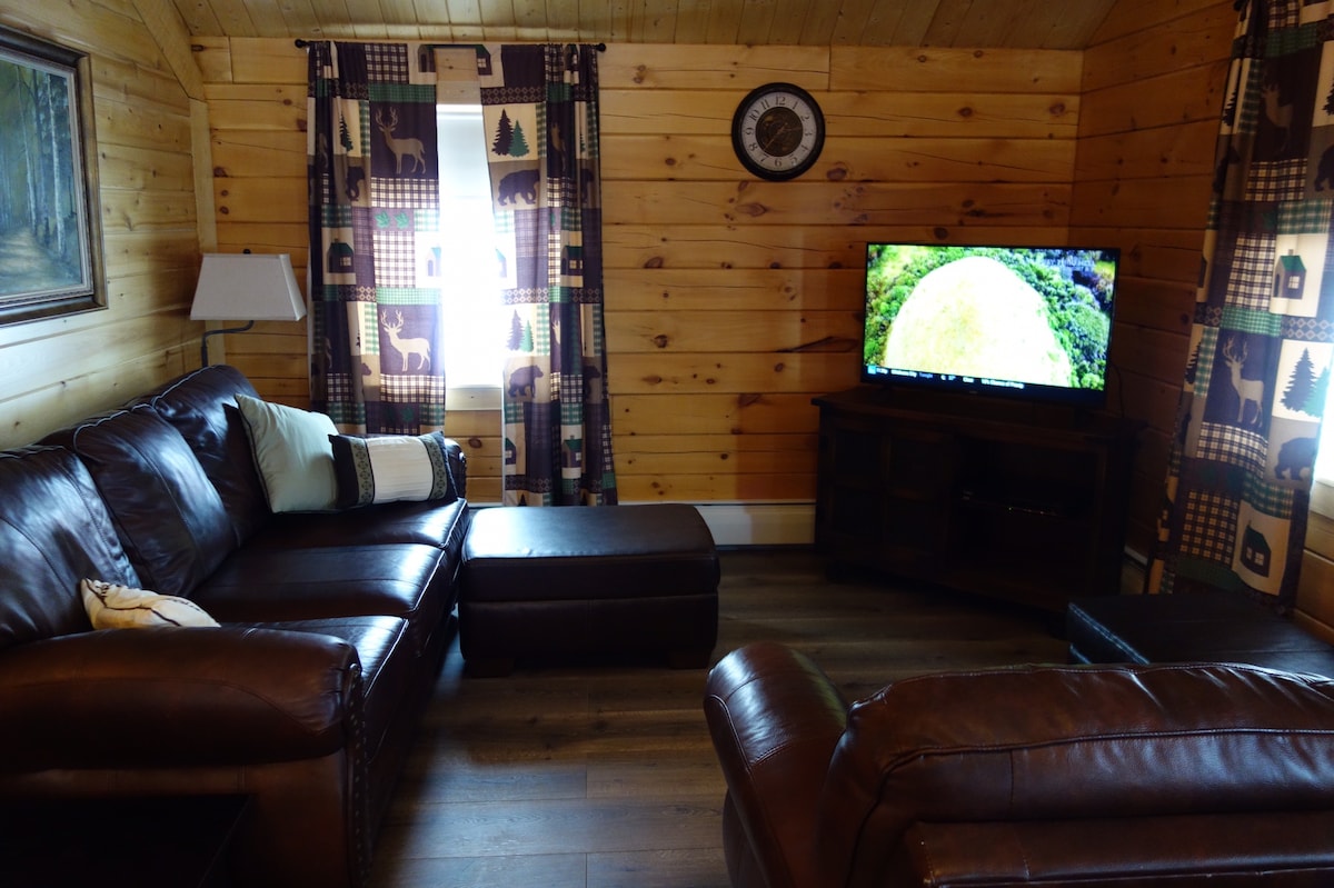 A cozy living area features a brown leather sofa and armchair, complemented by a matching ottoman. A television is positioned on a dark wood stand, while patterned curtains frame a window, allowing natural light to enhance the wooden walls.