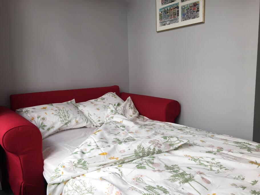 Sofa bed for a couple or very spacious for one.
