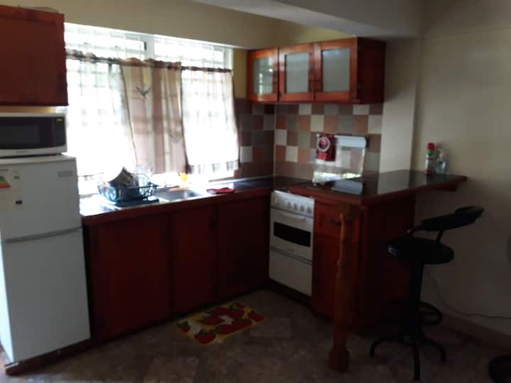 Home Style Apartment J Apartments for Rent in 18 Bath Estate, Valley Road, Roseau, Dominica