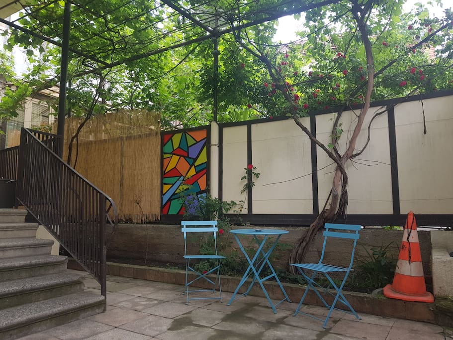 Front Yard