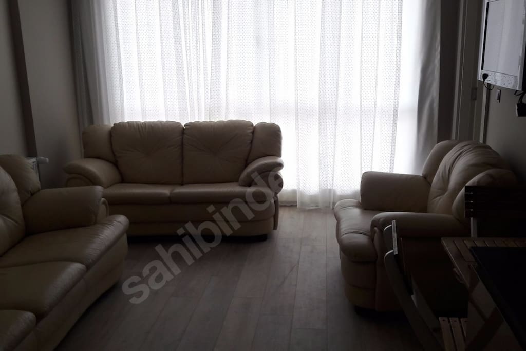 1+1 room