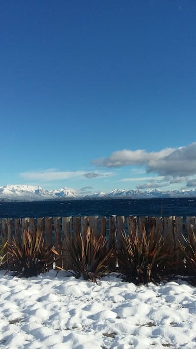 Jardín en invierno