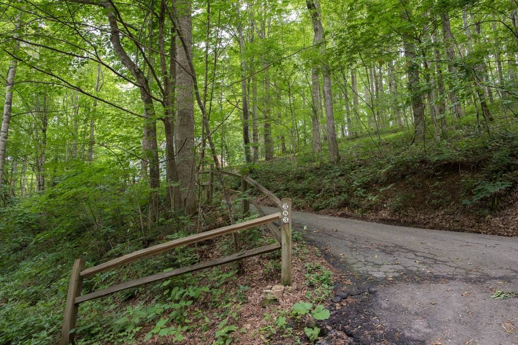 Take a sharp "switchback" left up the driveway