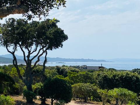 Beach on foot, panoramic view