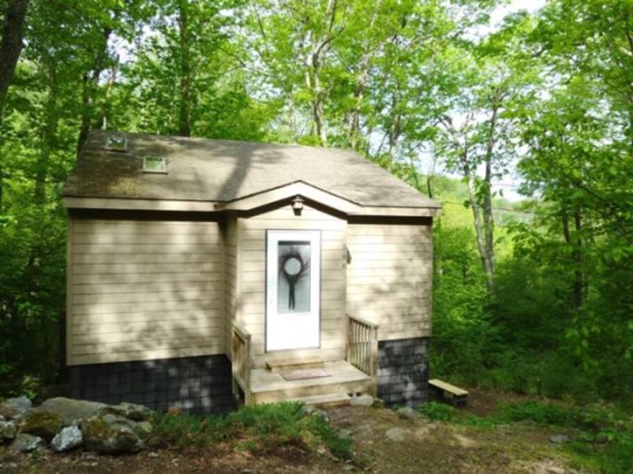 A Wild Woods Retreat