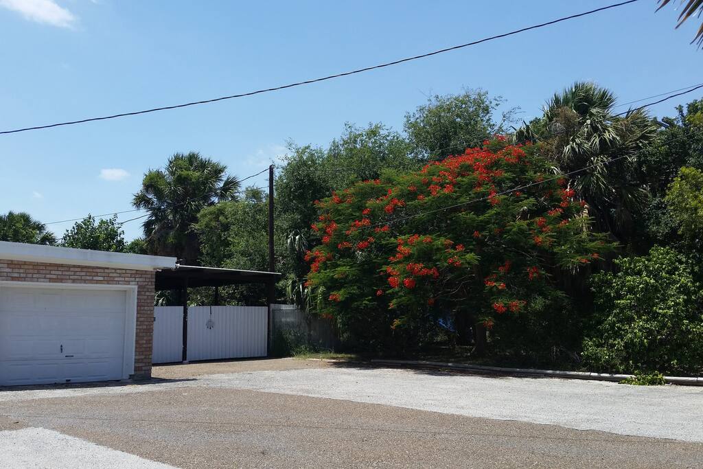 Exterior Ample Parking
