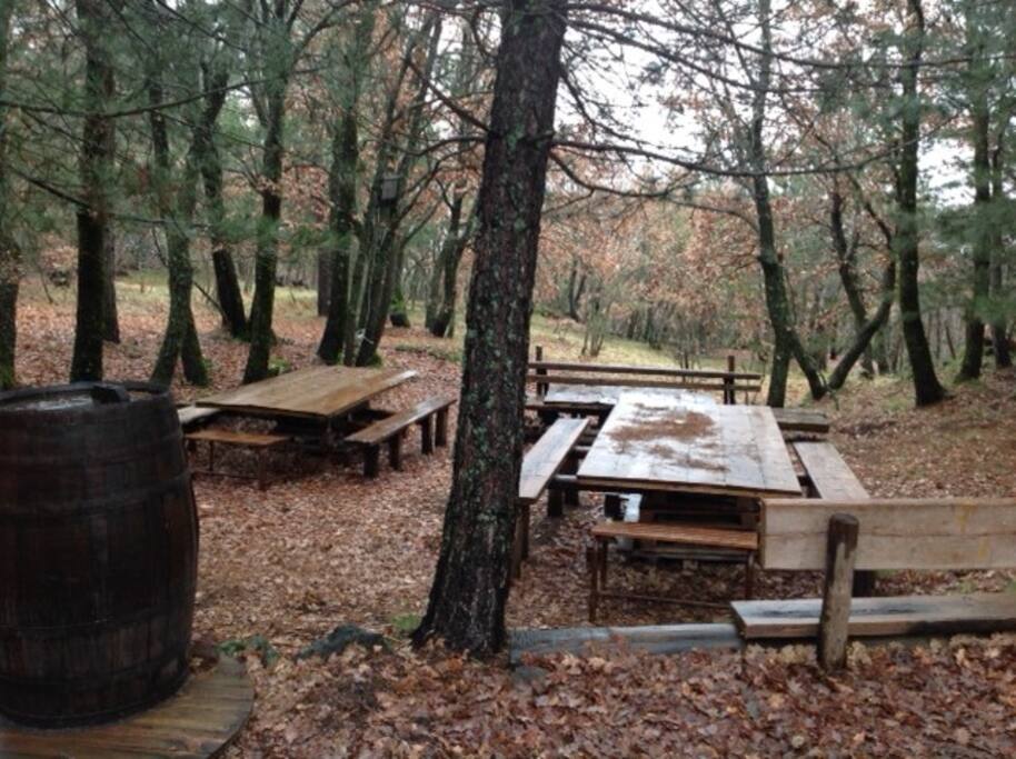 Area attrezzata