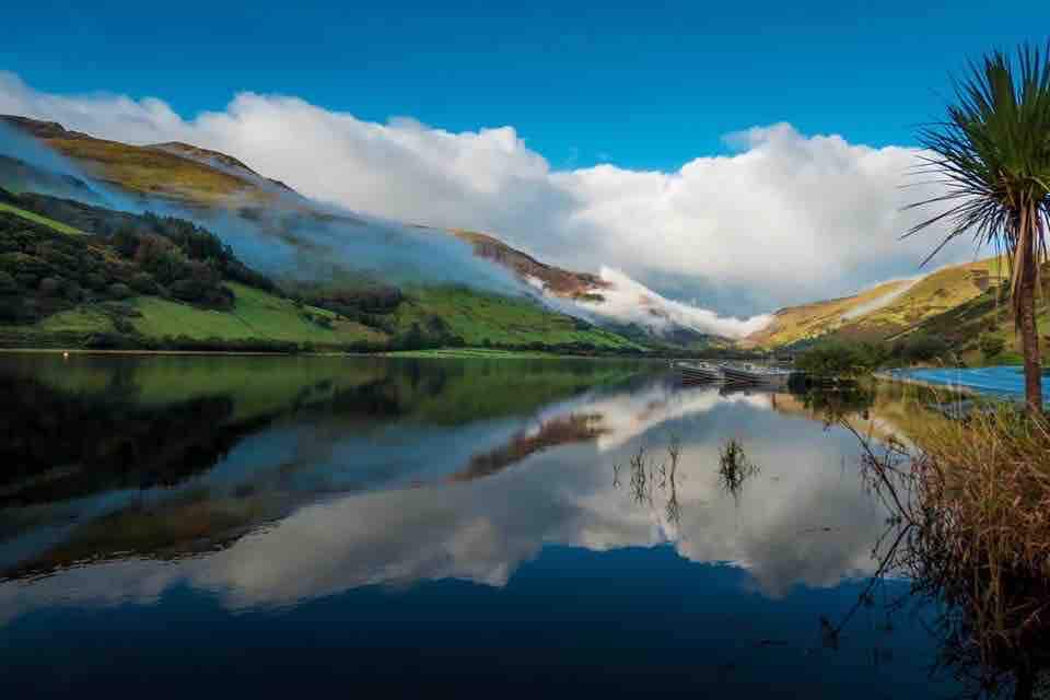 dog friendly places to stay in snowdonia