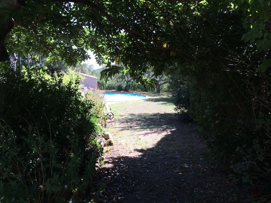 Relaxing walk to the Pool.