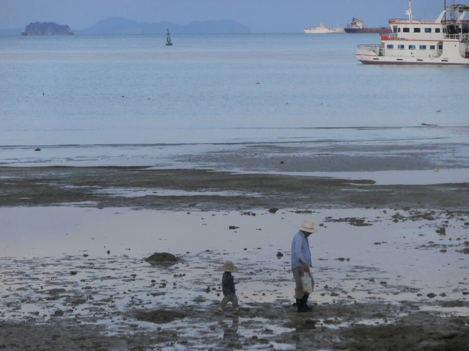Fishing with Dad - Phi Phi Island view