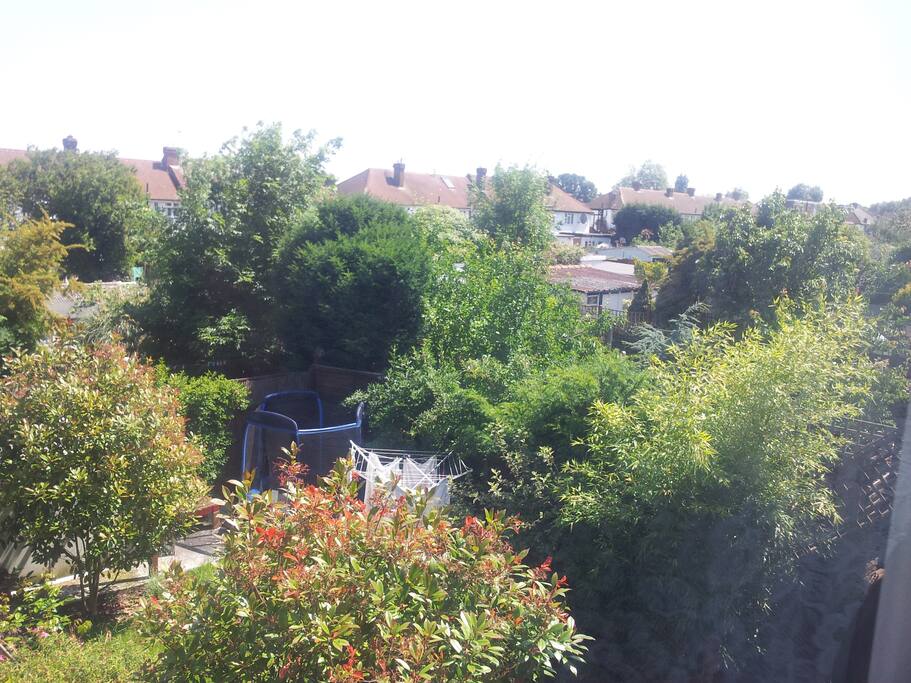 view out of bed room window