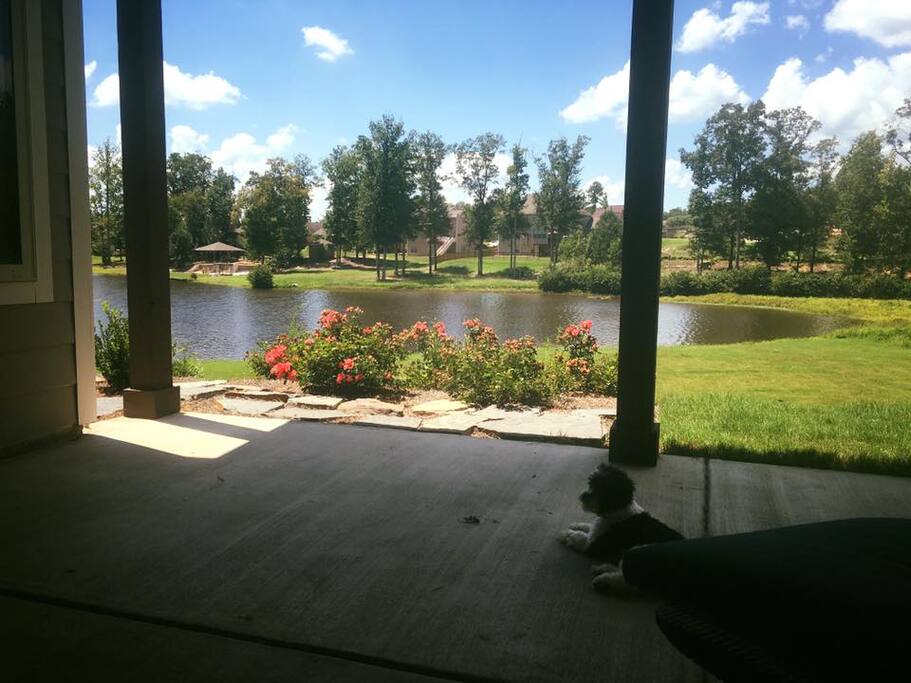 View from back deck