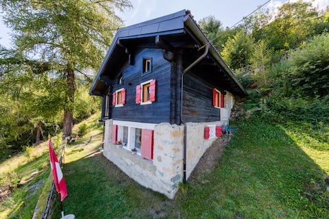 Cottage surrounded by nature with magnificent views