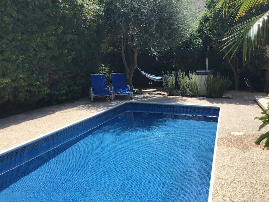 Swimming pool looking down to bbq area